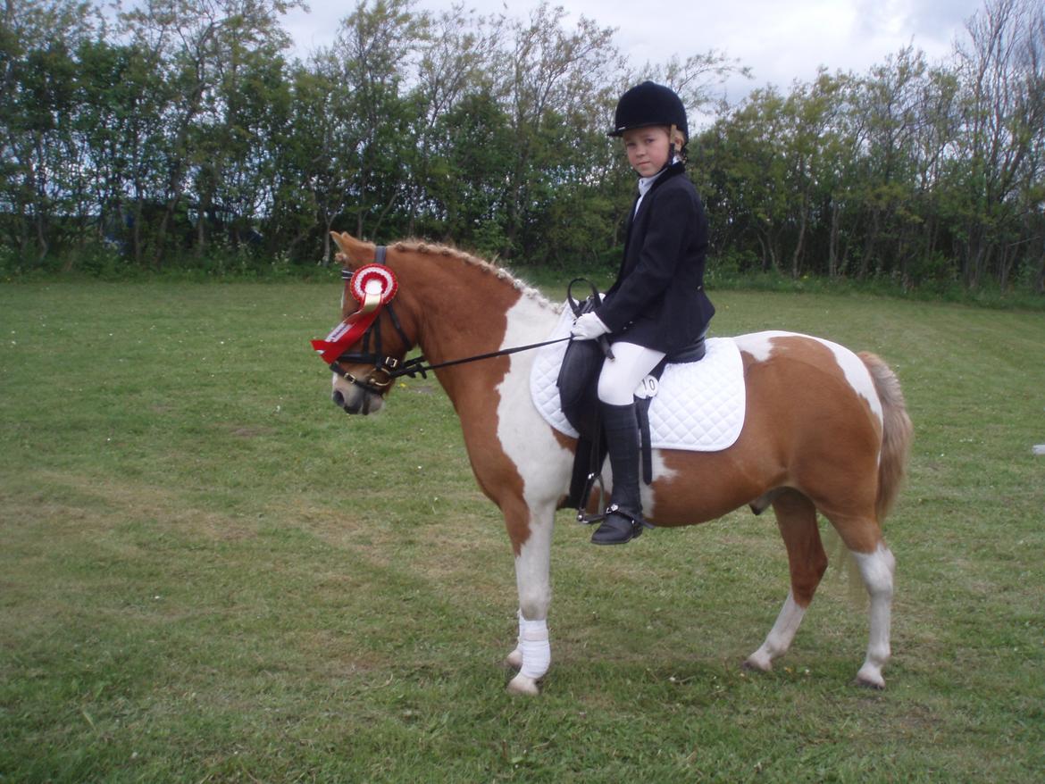 Anden særlig race Viktor UDLÅNT billede 2