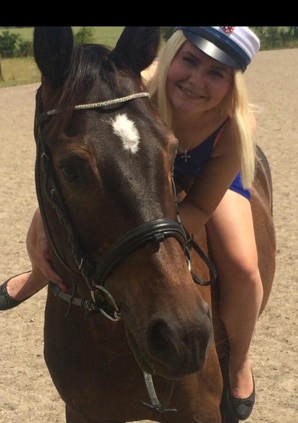 Dansk Varmblod Baunehøjens Samour billede 10