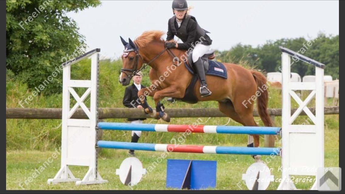 New Forest Marquis De Rebel billede 25