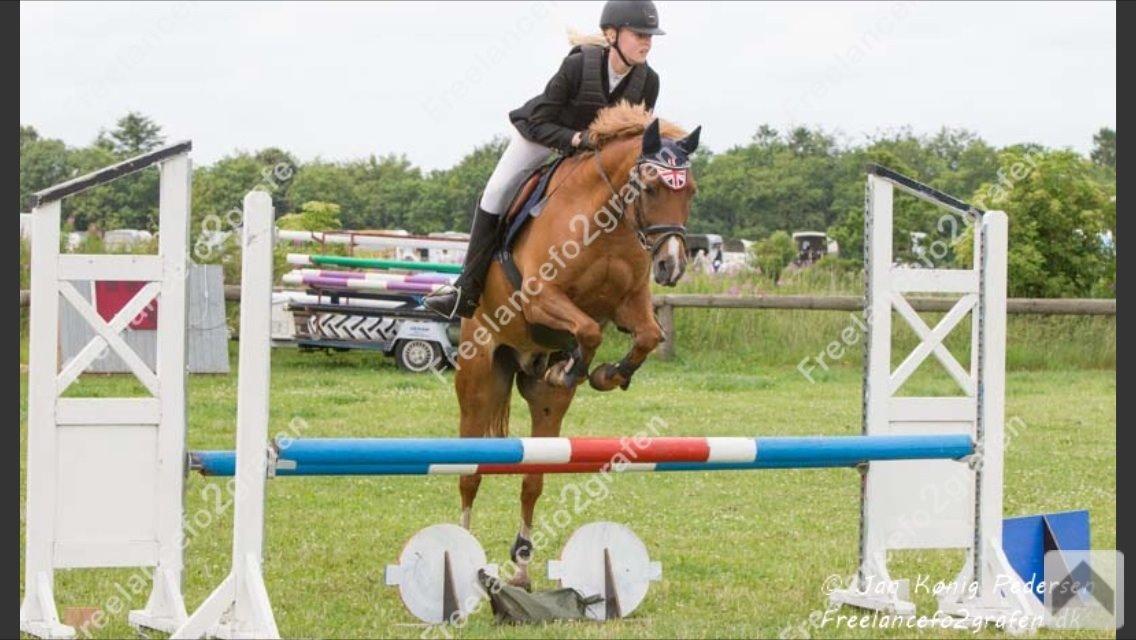 New Forest Marquis De Rebel billede 39