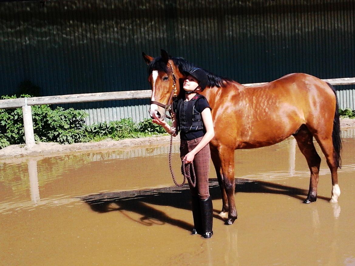 Anden særlig race Kentucky - En halv time om at komme i vand<3 Det var det hele værd:') billede 3