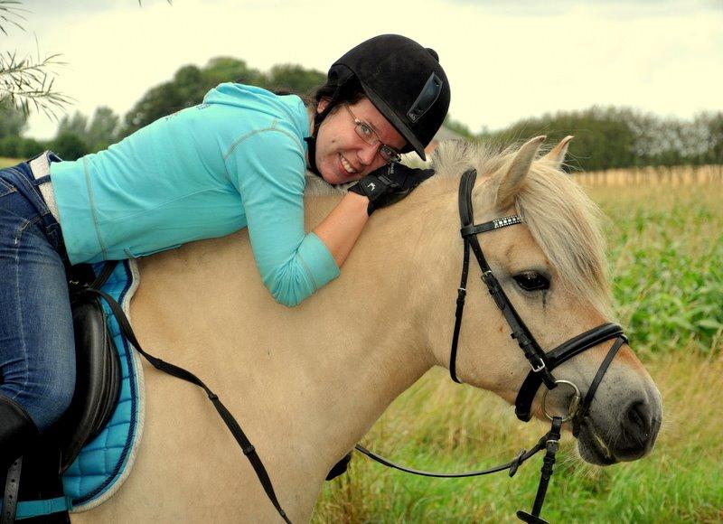 Fjordhest » Lykke Kyra <3 « - Jeg er helt pjattet med min KylleRylle, verdens dejligste gule hyp <3 Efter dagens dressurtræning 14.08.2014 billede 12