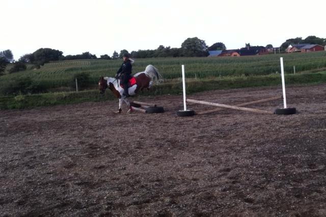 Anden særlig race Avanti - Da jeg prøvede hende, overspringer en del :D billede 13