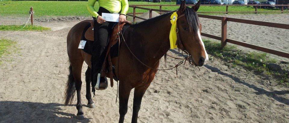 Quarter JMC Rubicon billede 1