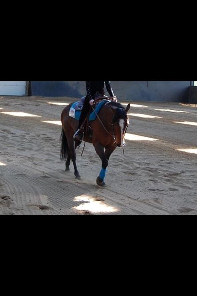 Quarter JMC Rubicon billede 2