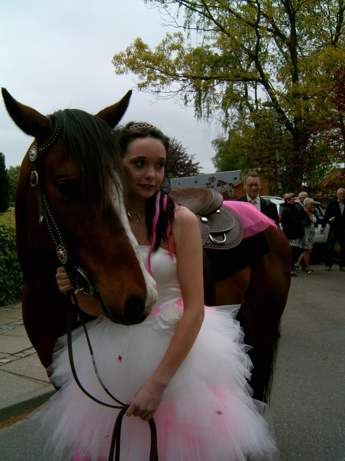 Quarter JMC Rubicon billede 5