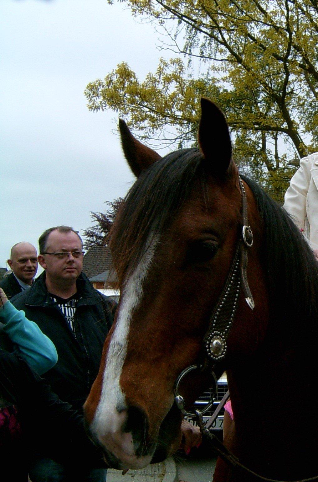 Quarter JMC Rubicon billede 6