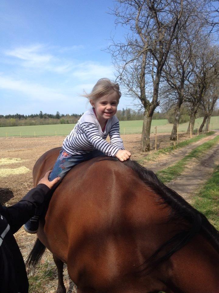 Quarter JMC Rubicon billede 8