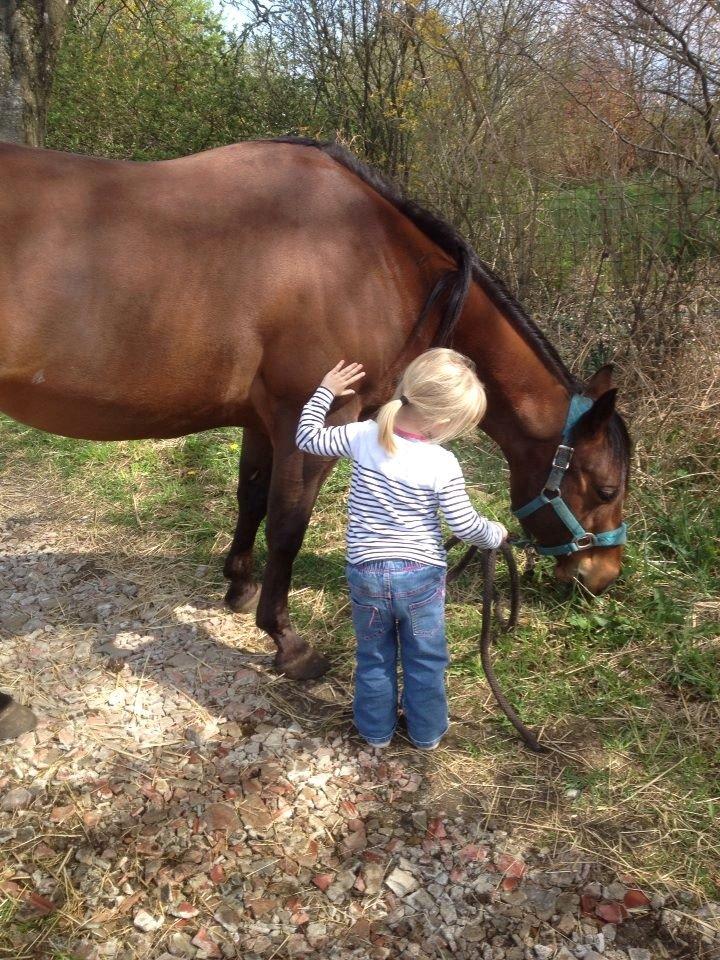 Quarter JMC Rubicon billede 9