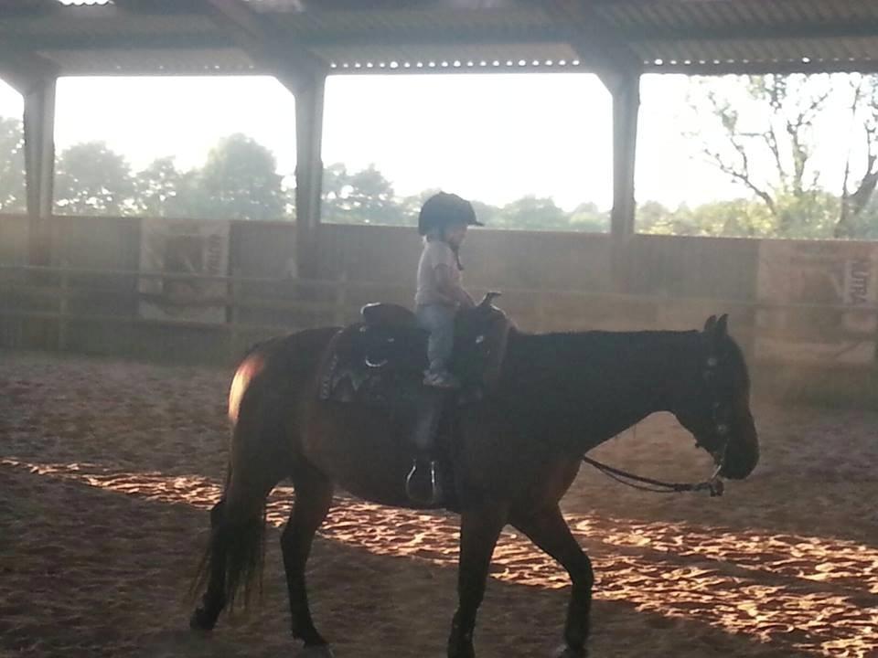 Quarter JMC Rubicon billede 7