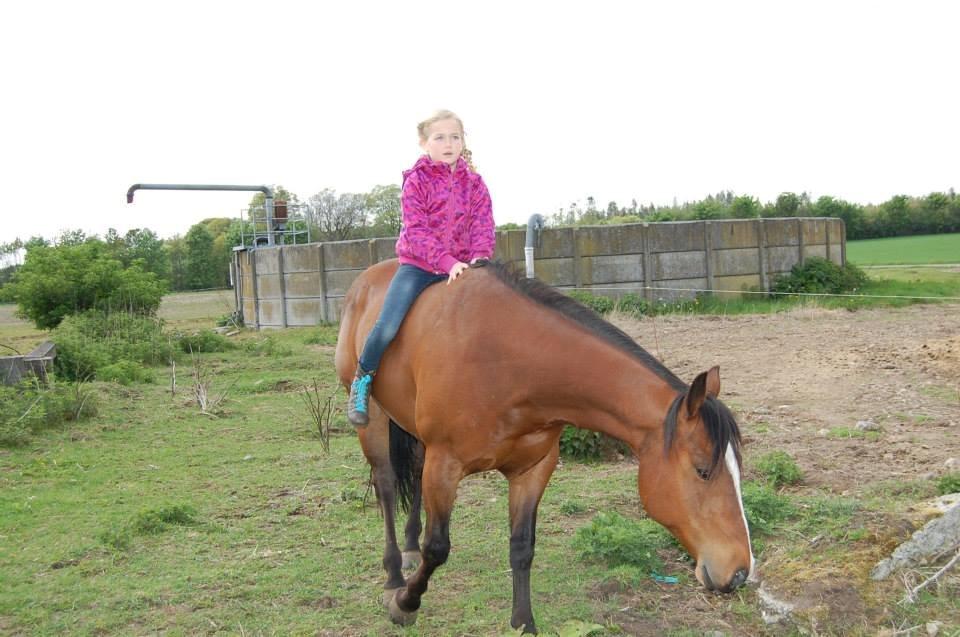 Quarter JMC Rubicon billede 10