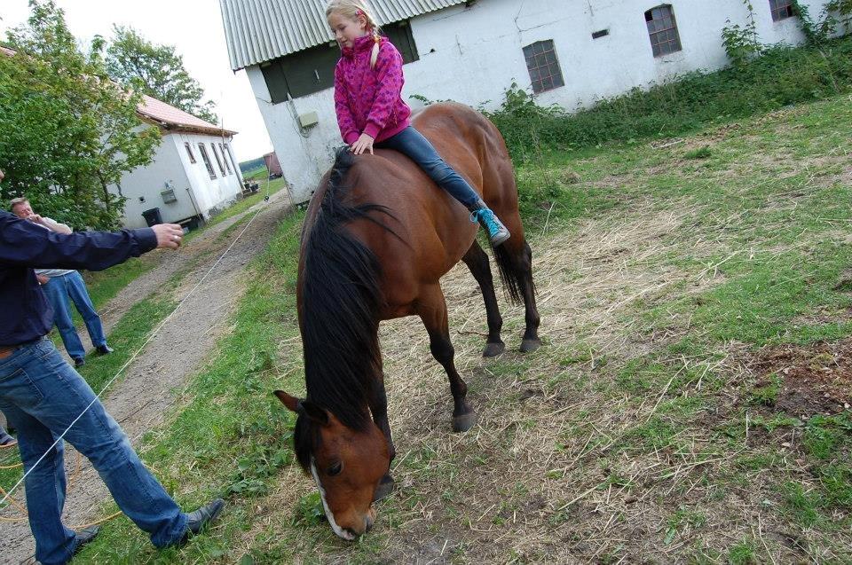 Quarter JMC Rubicon billede 13