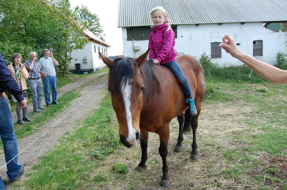 Quarter JMC Rubicon billede 11