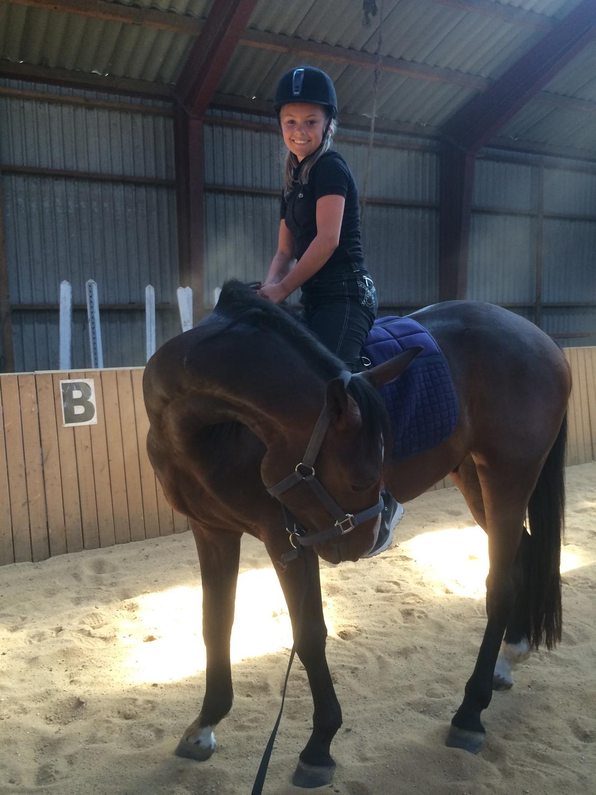 Pinto Hoelgaard´s Don Chirico - Undersøger lidt mere... billede 7