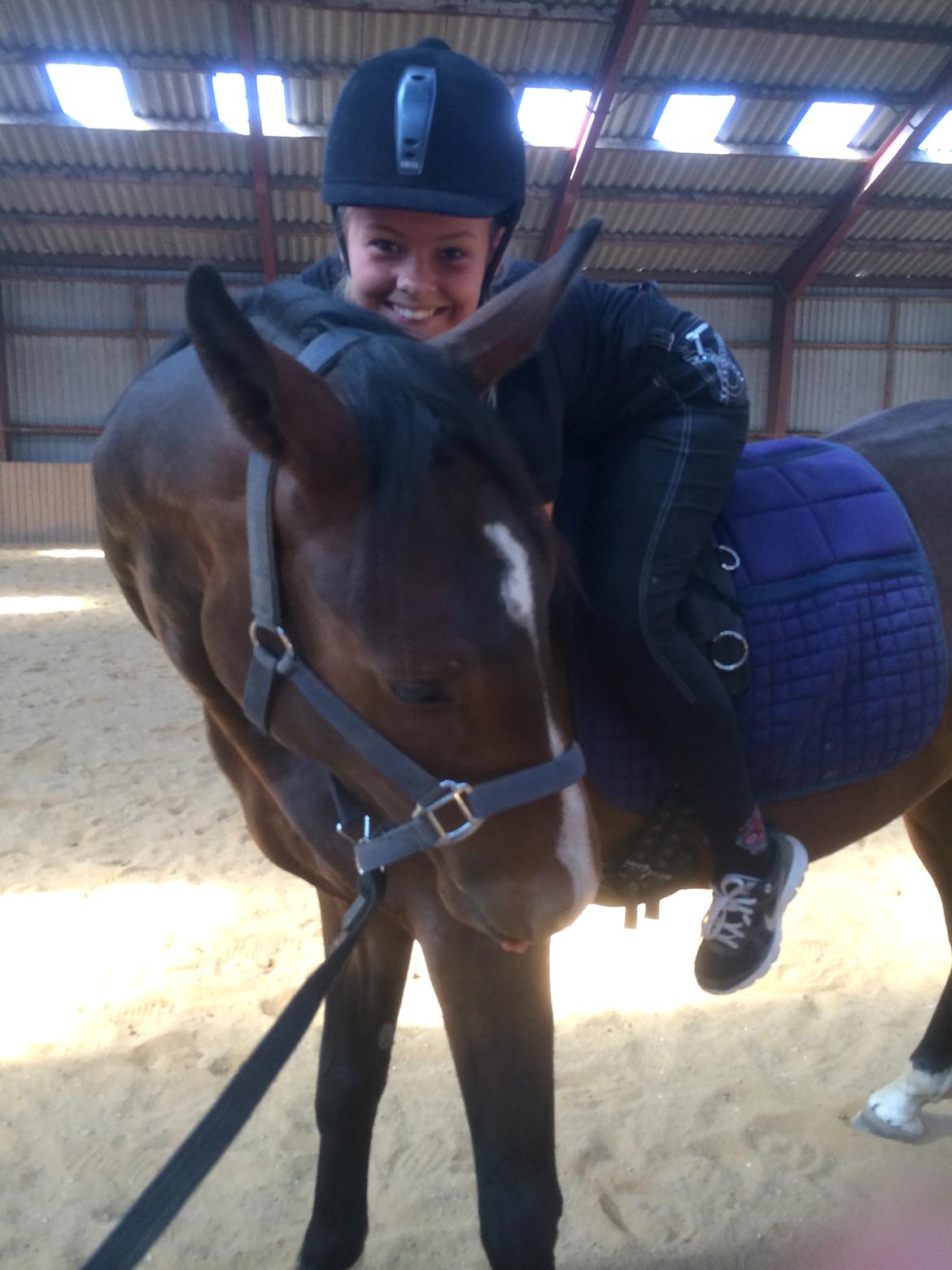 Pinto Hoelgaard´s Don Chirico - Kigge lidt på hvorfor hun sidder der… : ) billede 6