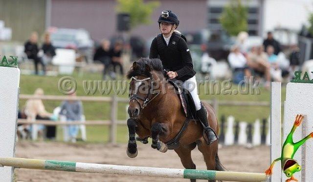 New Forest Roløkke Classic  - Pony spring Derby til KAR OPEN 2014 billede 49