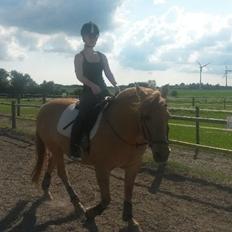 Anden særlig race Zarina