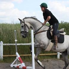 Fuldblod (XX) Mad Men