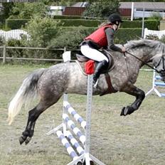 Connemara Klintly's macong