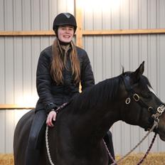 Trakehner Beautyful Diva