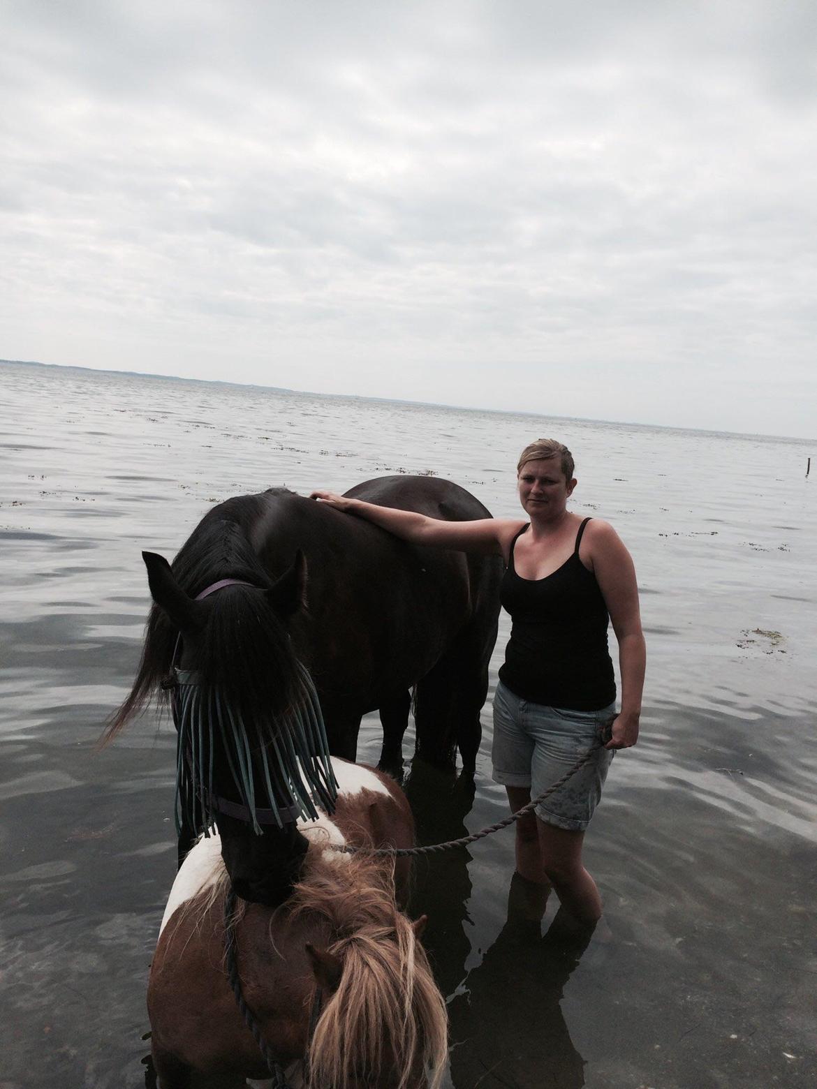Anden særlig race Afrodite - Hygge ved vandet juli 2014 billede 5