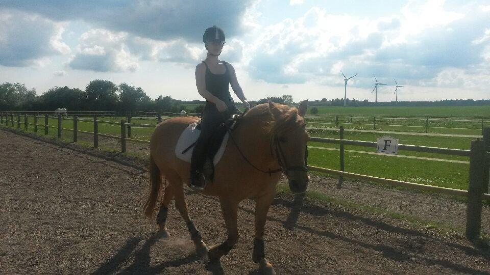 Anden særlig race Zarina - ?/7-14 Vores aller første ridetur <3 billede 2