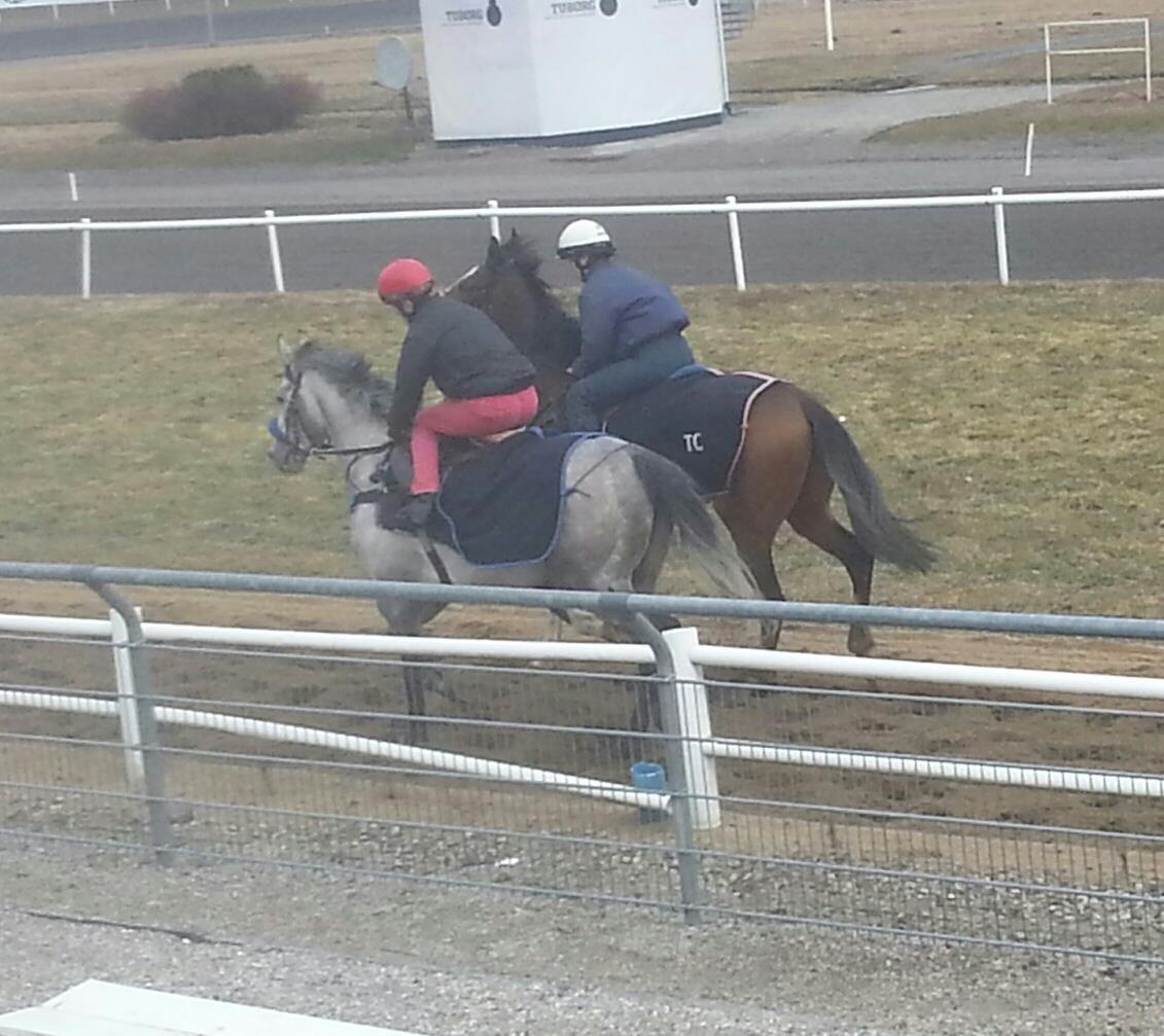 Fuldblod (XX) Mad Men billede 5