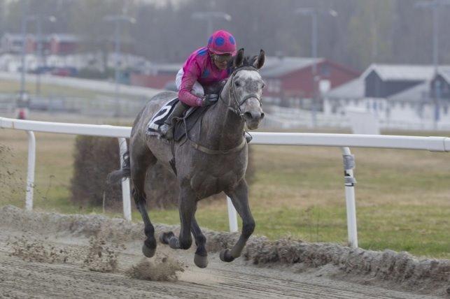 Fuldblod (XX) Mad Men billede 6