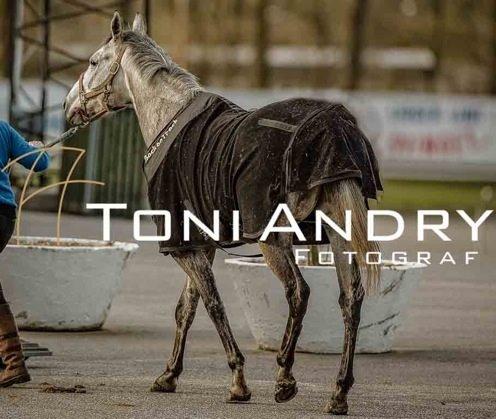 Fuldblod (XX) Mad Men billede 8