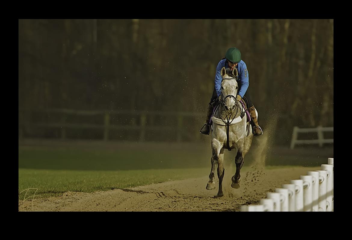 Fuldblod (XX) Mad Men billede 11