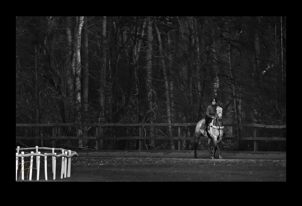 Fuldblod (XX) Mad Men billede 13