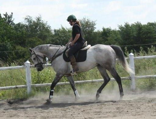 Fuldblod (XX) Mad Men billede 14