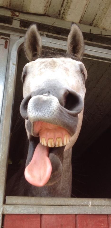 Fuldblod (XX) Mad Men billede 15