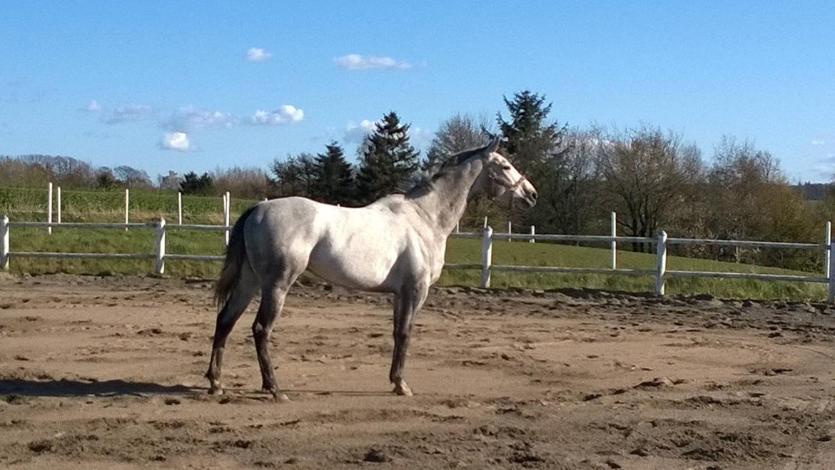 Fuldblod (XX) Mad Men billede 17