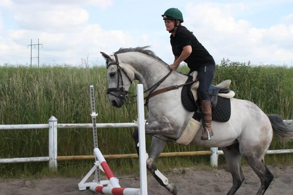 Fuldblod (XX) Mad Men billede 18