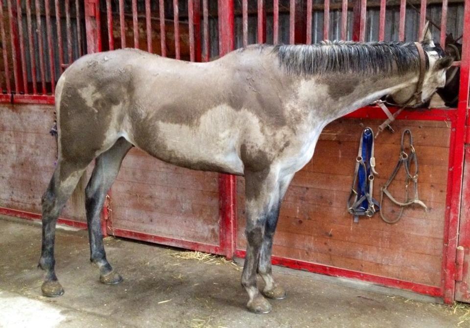 Fuldblod (XX) Mad Men billede 19