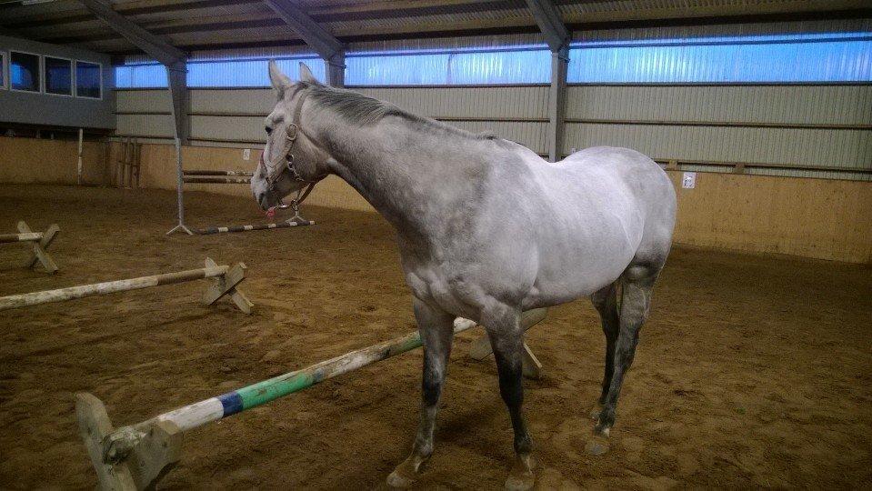 Fuldblod (XX) Mad Men billede 20