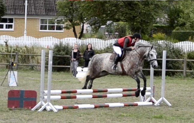 Connemara Klintly's macong billede 18