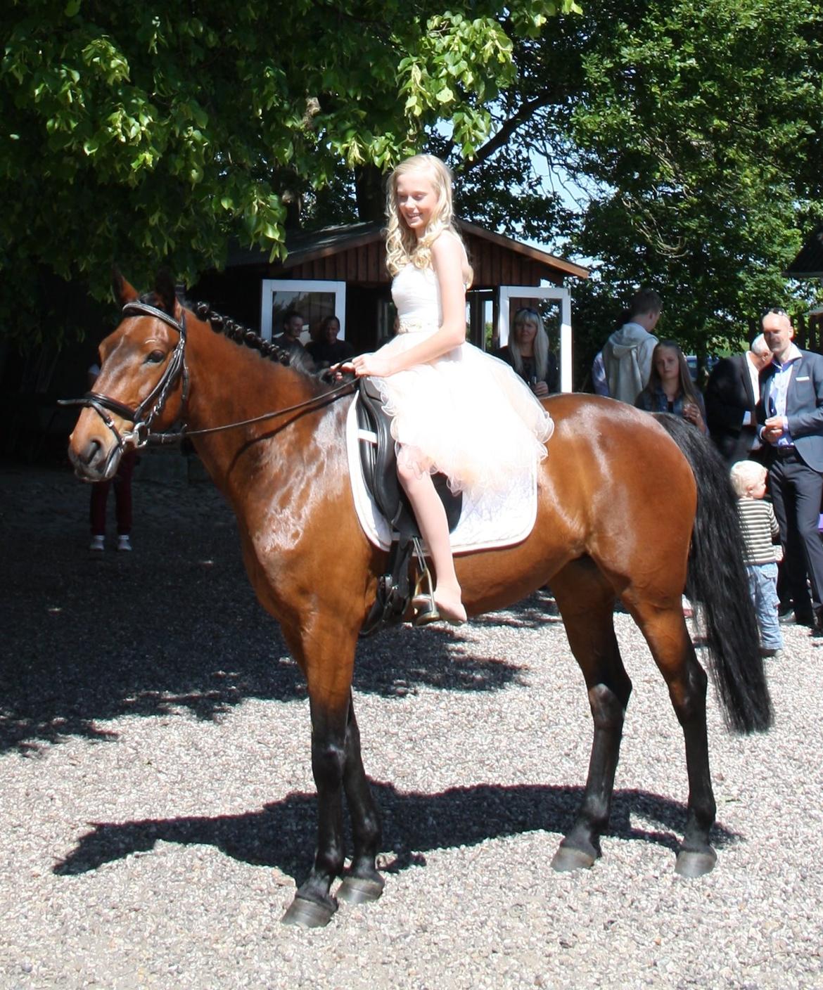 DSP Ellen - Den abselutte bedste gave! FOTO: Hauge billede 27