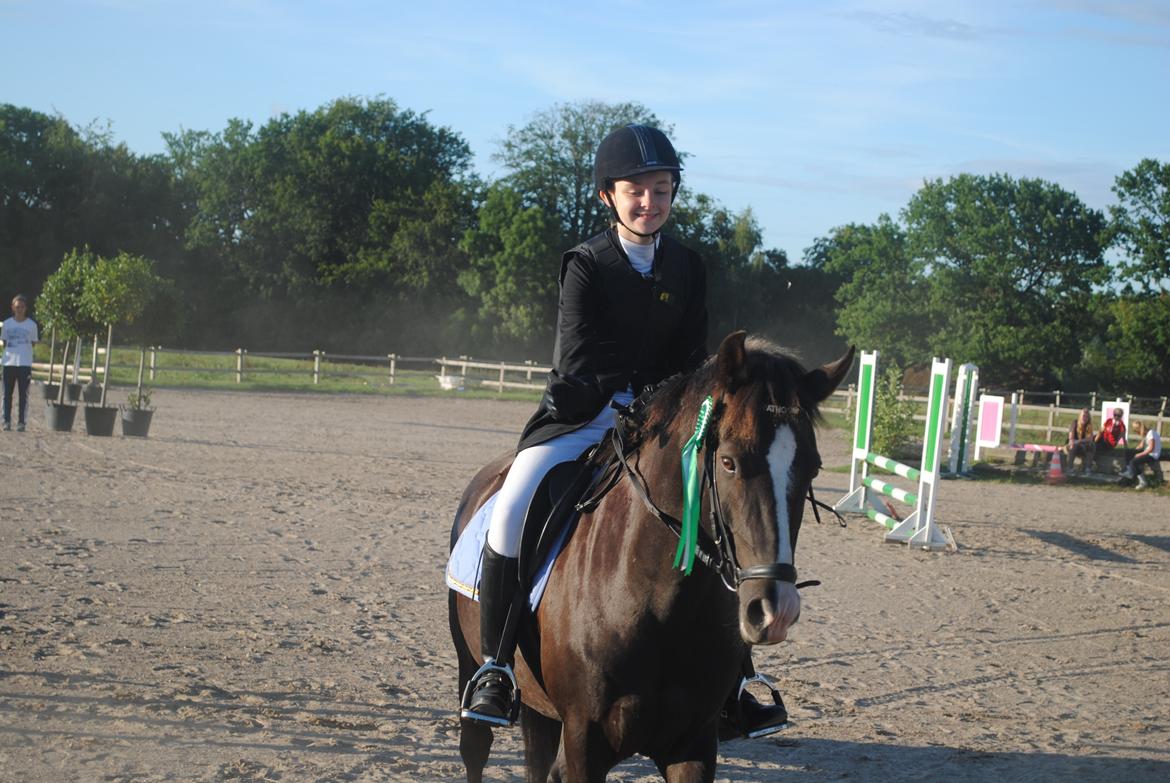 New Forest Southforks Athos - Første springstævne - 3. plads i 60 cm 15.08.14 billede 15