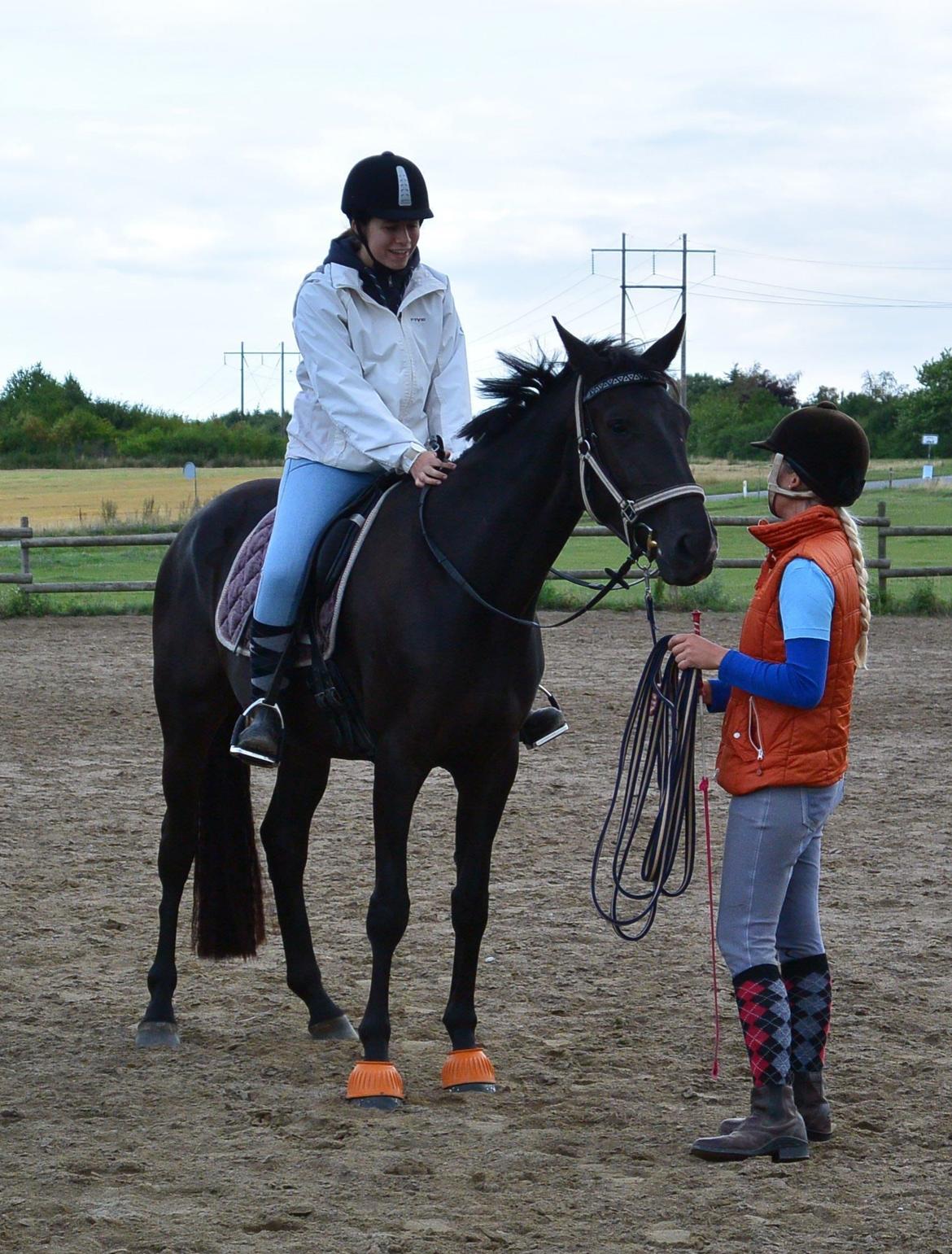 Dansk Varmblod Alphabeat - 12/8 2014. Første gang jeg er i sadlen, og Alba var så sød påtrods af regn, blæst og en masse aktivitet på stedet :) billede 16