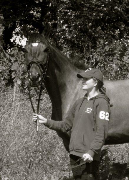 Dansk Varmblod Caruso (SOLGT)  billede 4