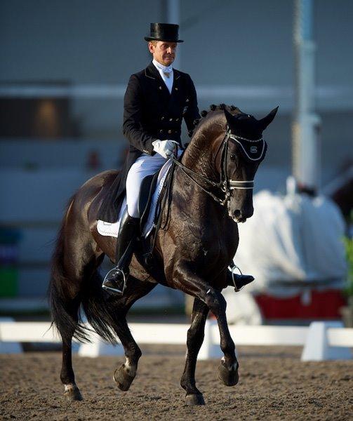 Pinto Hoelgaard´s Don Chirico - Chirico´s farfar billede 13