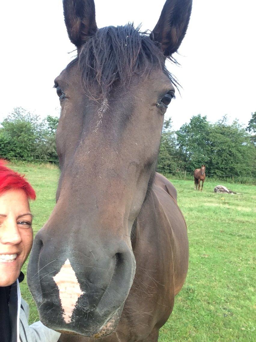 Anden særlig race Chanell  billede 23