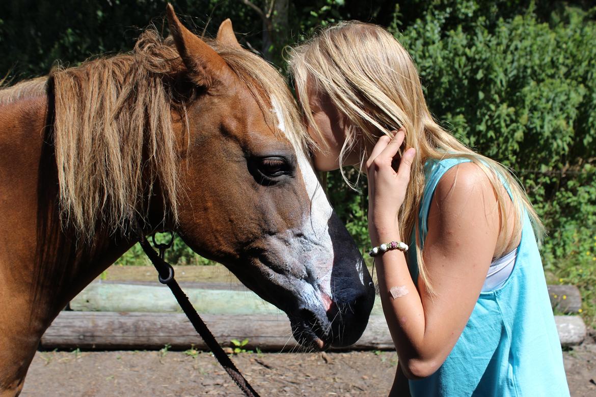 Anden særlig race Miss lucy - 16/7-2014, da Josefine & jeg var oppe og besøge Lucy billede 5