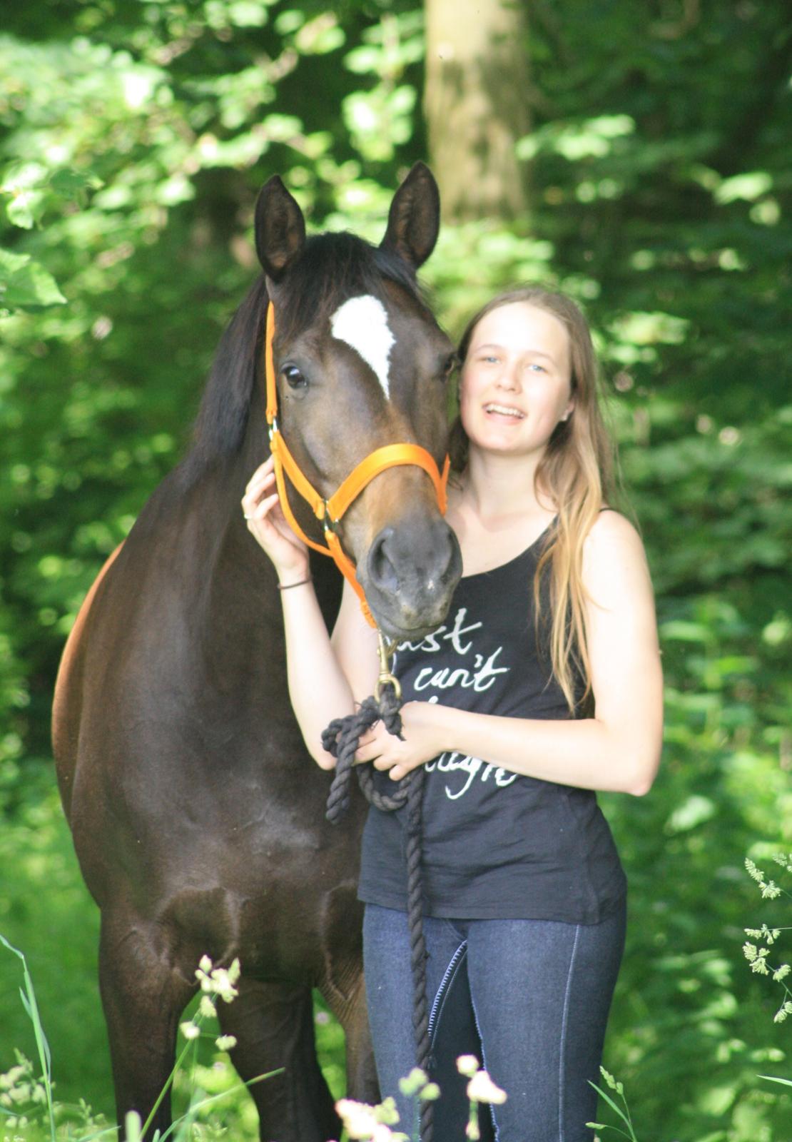 Trakehner Beautyful Diva - Man kan ikke andet, end at være lykkelig i dit selskab! <3 - Juni 2014 - Fotograf: Sille Sjer billede 2