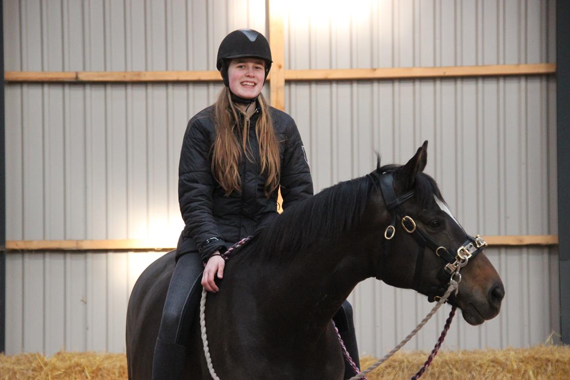 Trakehner Beautyful Diva - Teamwork! - Marts 2014 - Fotograf: Sille Sejer billede 1