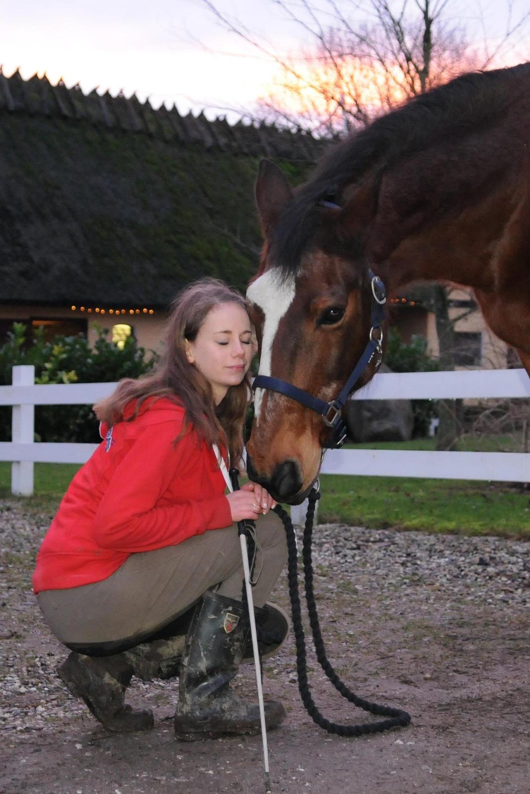 Anden særlig race Don Joka billede 2