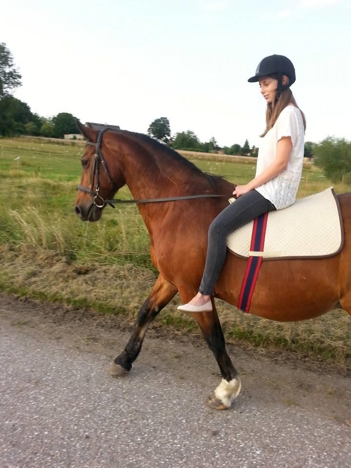 Anden særlig race Don Joka billede 7