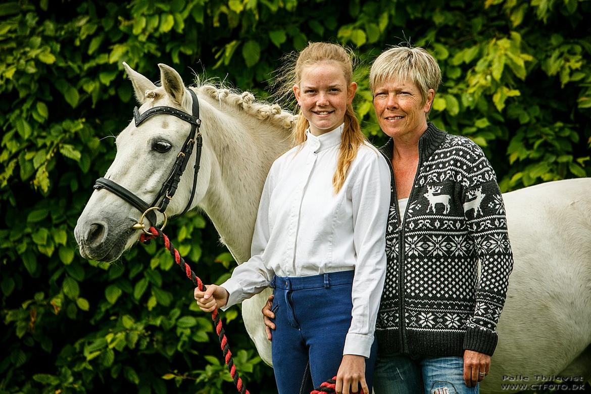 Anden særlig race Thestrupgaardens Kashmir Rex billede 7